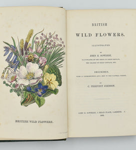 British Wild Flowers; Described, with an Introduction and a Key to …