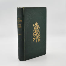 Load image into Gallery viewer, The Grasses of Great Britain
