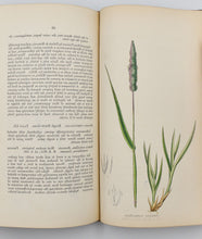 Load image into Gallery viewer, The Grasses of Great Britain