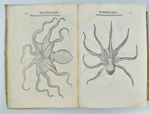 De reliquis animalibus exanguibus libri quatuor, post mortem eius editi: nempe …