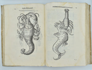 De reliquis animalibus exanguibus libri quatuor, post mortem eius editi: nempe …