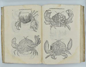 De reliquis animalibus exanguibus libri quatuor, post mortem eius editi: nempe …