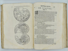 Load image into Gallery viewer, De reliquis animalibus exanguibus libri quatuor, post mortem eius editi: nempe …