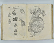 Load image into Gallery viewer, De reliquis animalibus exanguibus libri quatuor, post mortem eius editi: nempe …