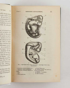 The Descent of Man, and Selection in Relation to Sex