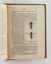 Load image into Gallery viewer, DARWIN, Charles Robert. The Descent of Man, and Selection in Relation to Sex.