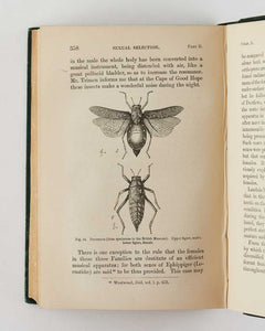 The Descent of Man, and Selection in Relation to Sex