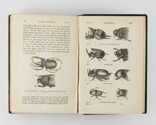 Load image into Gallery viewer, DARWIN, Charles Robert. The Descent of Man, and Selection in Relation to Sex.