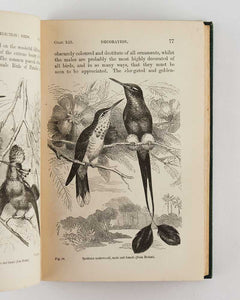The Descent of Man, and Selection in Relation to Sex