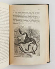 Load image into Gallery viewer, DARWIN, Charles Robert. The Descent of Man, and Selection in Relation to Sex.