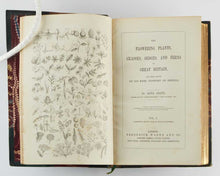 Load image into Gallery viewer, PRATT, Anne. The Flowering Plants, Grasses, Sedges, and Ferns, of Great Britain, and their allies the Club Mosses, Pepperworts, and Horsetails. [[bmid:2122117a]]