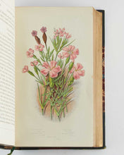 Load image into Gallery viewer, PRATT, Anne. The Flowering Plants, Grasses, Sedges, and Ferns, of Great Britain, and their allies the Club Mosses, Pepperworts, and Horsetails. [[bmid:2122117b]]