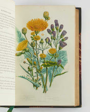 Load image into Gallery viewer, PRATT, Anne. The Flowering Plants, Grasses, Sedges, and Ferns, of Great Britain, and their allies the Club Mosses, Pepperworts, and Horsetails. [[bmid:2122117d]]