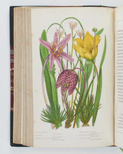 Load image into Gallery viewer, PRATT, Anne. The Flowering Plants, Grasses, Sedges, and Ferns, of Great Britain, and their allies the Club Mosses, Pepperworts, and Horsetails. [[bmid:2122117f]]