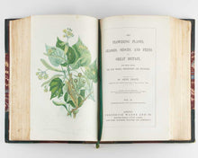 Load image into Gallery viewer, PRATT, Anne. The Flowering Plants, Grasses, Sedges, and Ferns, of Great Britain, and their allies the Club Mosses, Pepperworts, and Horsetails. [[bmid:2122117h]]