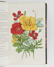 Load image into Gallery viewer, PRATT, Anne. The Flowering Plants, Grasses, Sedges, and Ferns, of Great Britain, and their allies the Club Mosses, Pepperworts, and Horsetails. [[bmid:2122117i]]