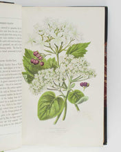 Load image into Gallery viewer, PRATT, Anne. The Flowering Plants, Grasses, Sedges, and Ferns, of Great Britain, and their allies the Club Mosses, Pepperworts, and Horsetails. [[bmid:2122117j]]
