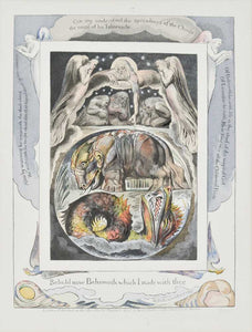 Behold now Behemoth …