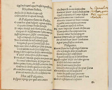 Load image into Gallery viewer, CURIONE, Celio Secondo. Pasquillorum tomi duo. Quorum primo versibus ac rhythmis, altero soluta oratione conscripta quamplurima continentur, ad exhilarandum, confirmandumque hos perturbatissimo rerum statu pij lectoris animum, apprime conducentia. Eorum… [[bmid:2122132a]]
