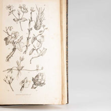 Load image into Gallery viewer, An Introduction to Physiological and Systematical Botany