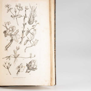 An Introduction to Physiological and Systematical Botany
