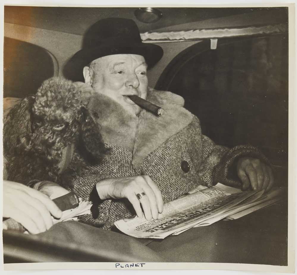 Photograph of Winston Churchill seated in car with poodle