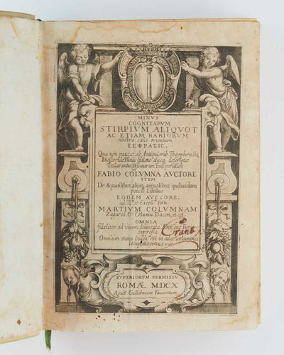 Minus cognitarum stirpium aliquot ac etiam rariorum nostro coelo orientium ΕΚΦΡΑΣΙC …
