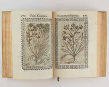 Load image into Gallery viewer, Minus cognitarum stirpium aliquot ac etiam rariorum nostro coelo orientium ΕΚΦΡΑΣΙC …