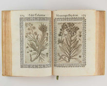Load image into Gallery viewer, Minus cognitarum stirpium aliquot ac etiam rariorum nostro coelo orientium ΕΚΦΡΑΣΙC …