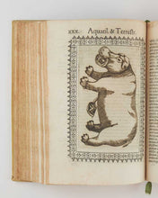 Load image into Gallery viewer, Minus cognitarum stirpium aliquot ac etiam rariorum nostro coelo orientium ΕΚΦΡΑΣΙC …