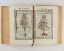 Load image into Gallery viewer, Minus cognitarum stirpium aliquot ac etiam rariorum nostro coelo orientium ΕΚΦΡΑΣΙC …