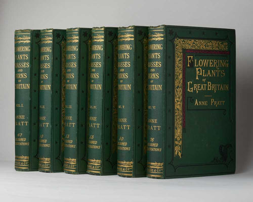 The Flowering Plants, Grasses, Sedges, and Ferns, of Great Britain, and …