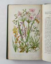 Load image into Gallery viewer, The Flowering Plants, Grasses, Sedges, and Ferns, of Great Britain, and …