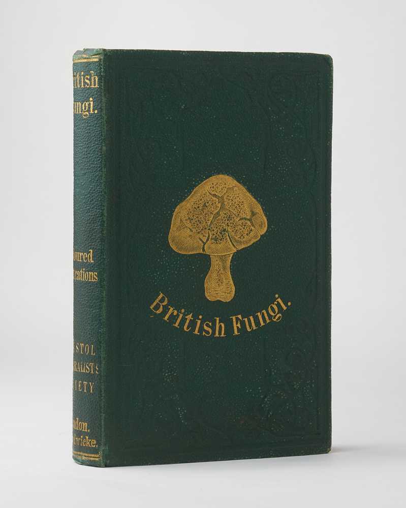 A Plain and Easy Account of British Fungi; with especial reference …