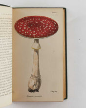 Load image into Gallery viewer, A Plain and Easy Account of British Fungi; with especial reference …