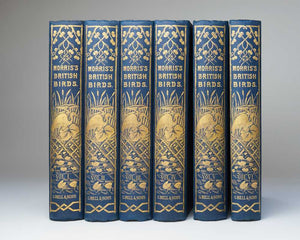 A History of British Birds …