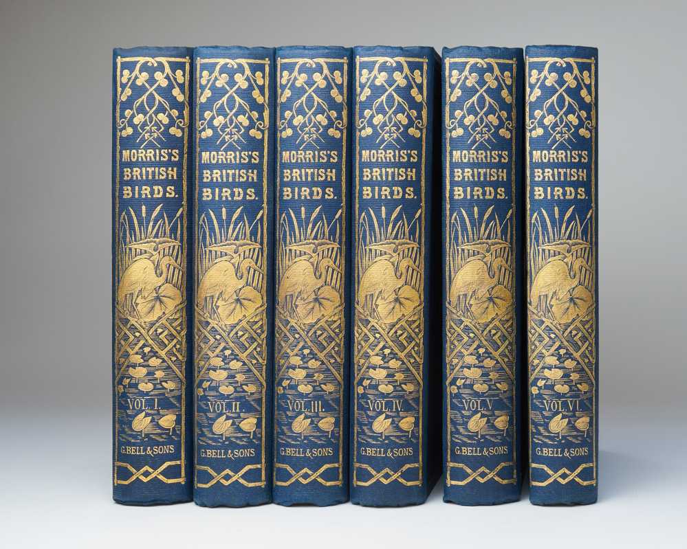 A History of British Birds …