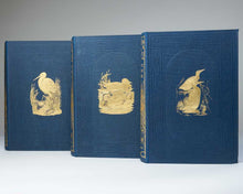 Load image into Gallery viewer, A History of British Birds …