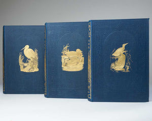 A History of British Birds …