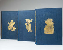 Load image into Gallery viewer, A History of British Birds …