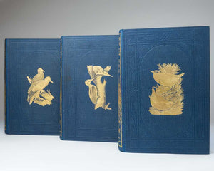 A History of British Birds …