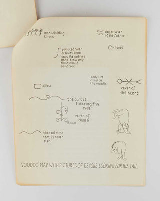 ACKER, Kathy. Essay on Writing "The Invisible Universe". [[bmid:2123083b]]
