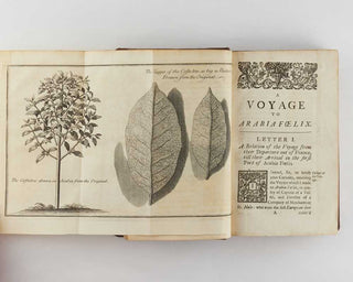 A Voyage to Arabia Foelix through the Eastern Ocean and the …