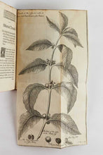 Load image into Gallery viewer, A Voyage to Arabia Foelix through the Eastern Ocean and the …