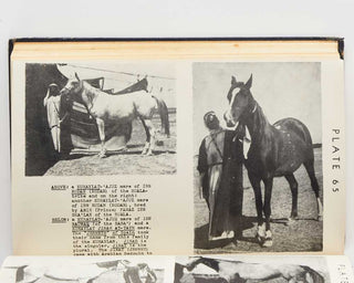 RASWAN, Carl R. The Raswan Index and Handbook for Arabian Breeders. [[bmid:2123160c]]
