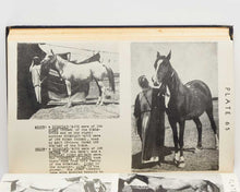 Load image into Gallery viewer, The Raswan Index and Handbook for Arabian Breeders