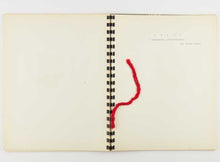 Load image into Gallery viewer, AaaaaaAAAAaaaaAAAAAaaaa