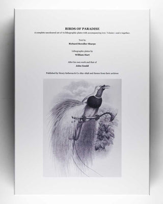 [GOULD, John.] SHARPE, R. Bowdler. Monograph of the Paradiseidae, or Birds of Paradise, and Ptilonorhynchidae, or Bower-Birds. [[bmid:2123641]]