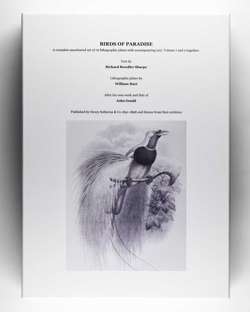 Monograph of the Paradiseidae, or Birds of Paradise, and Ptilonorhynchidae, or …