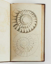 Load image into Gallery viewer, Descriptions and Figures of Petrifactions, found in the Quarries, Gravel-Pits …